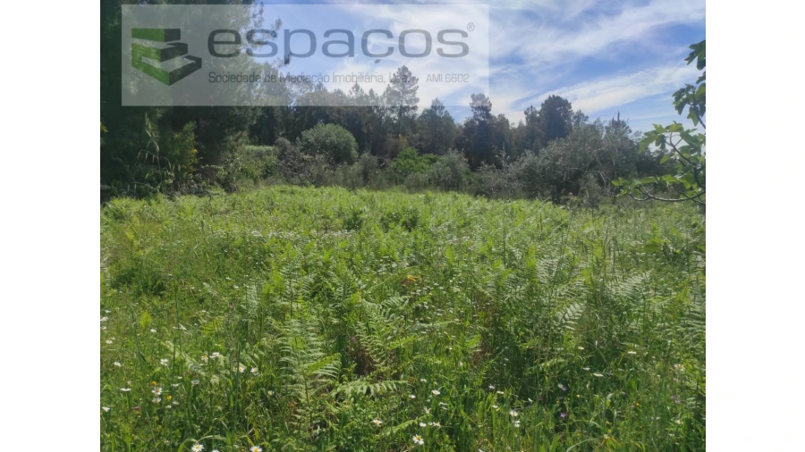 Terreno Agricola ou Rústico para Venda em São Vicente da Beira Foto 4