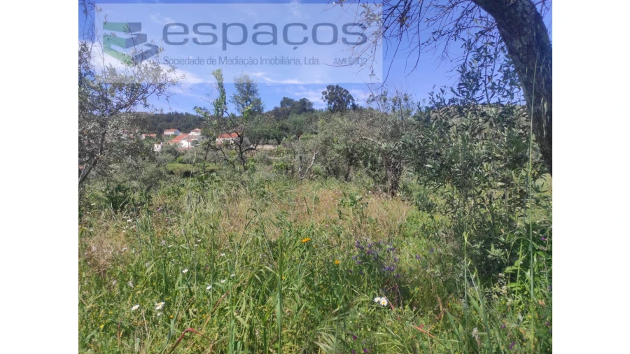 Terreno Agricola ou Rústico para Venda em São Vicente da Beira Foto 6