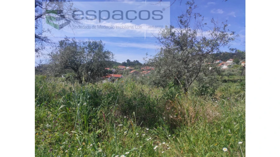 Terreno Agricola ou Rústico para Venda em São Vicente da Beira Foto 7