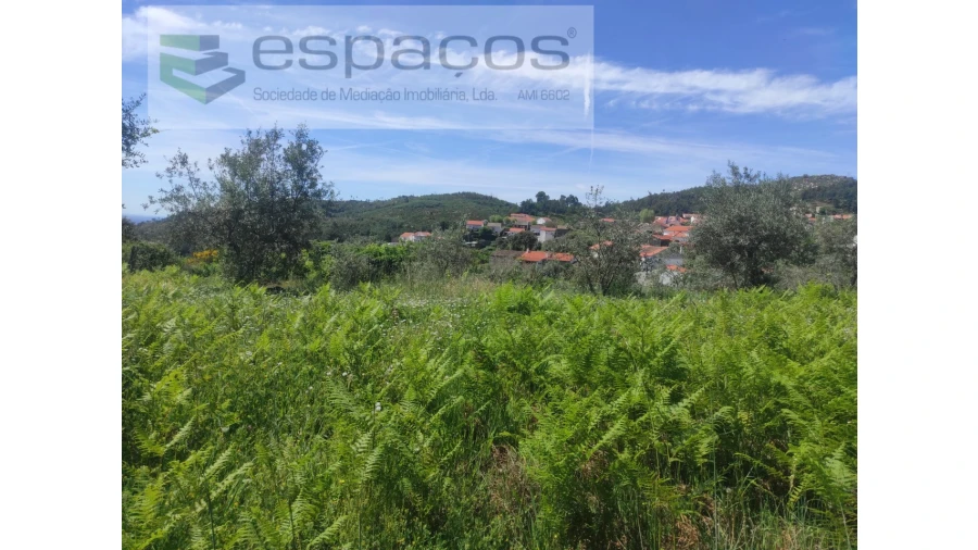 Terreno Agricola ou Rústico para Venda em São Vicente da Beira Foto 15