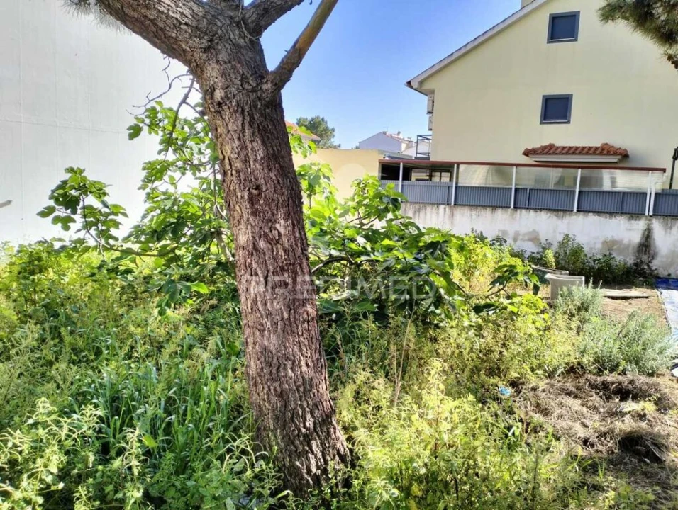 Terreno para Venda em Quinta do Conde Foto 6