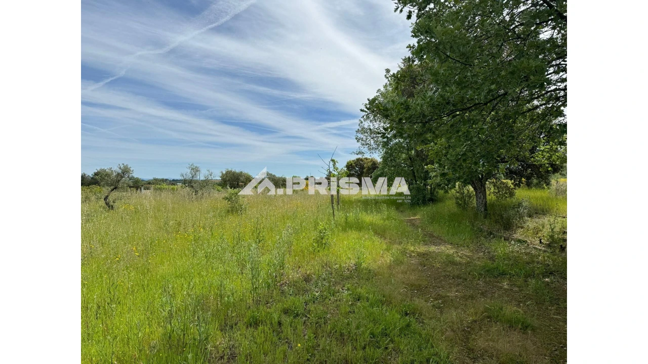 Terreno para Venda em Fundão, Valverde, Donas, A. Joanes, A. Nova Cabo Foto 1