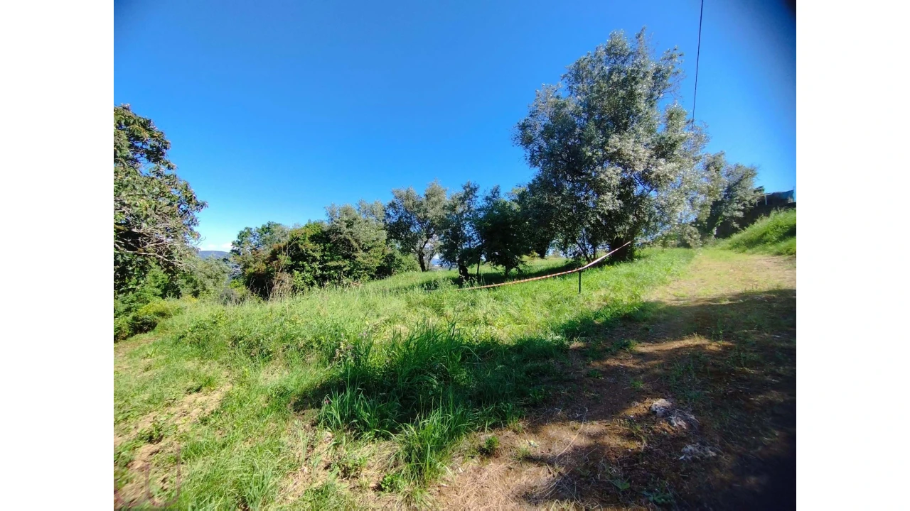 Terreno para Venda em Santa Clara e Castelo Viegas Foto 13