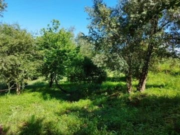 Terreno para Venda em Santa Clara e Castelo Viegas