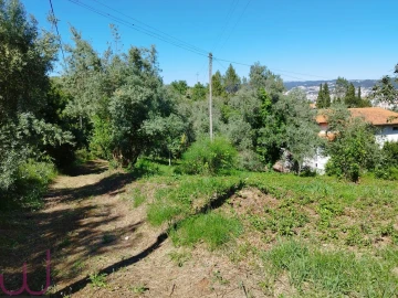Terreno para Venda em Santa Clara e Castelo Viegas
