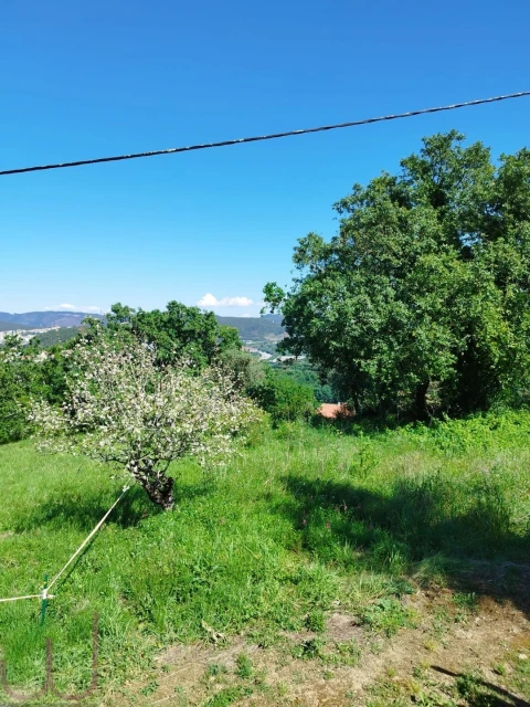 Terreno para Venda em Santa Clara e Castelo Viegas