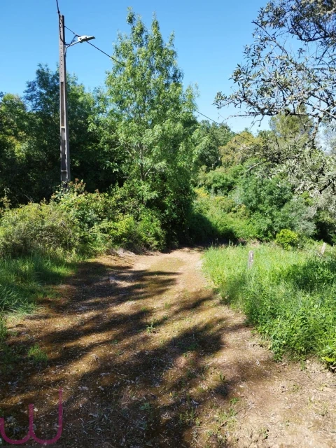 Terreno para Venda em Santa Clara e Castelo Viegas