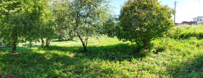 Terreno para Venda em Santa Clara e Castelo Viegas