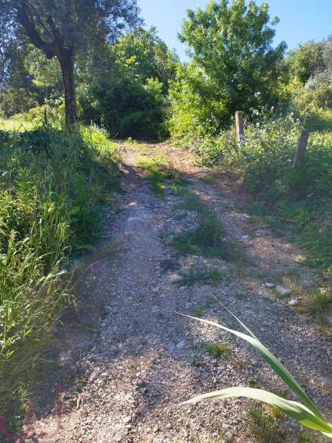 Terreno para Venda em Santa Clara e Castelo Viegas