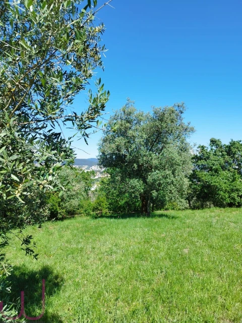 Terreno para Venda em Santa Clara e Castelo Viegas