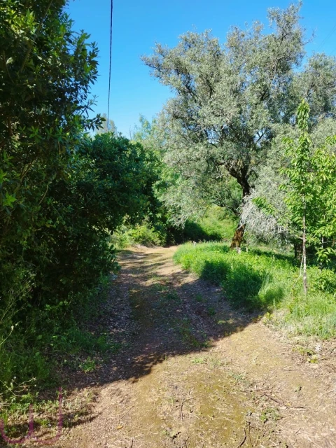 Terreno para Venda em Santa Clara e Castelo Viegas