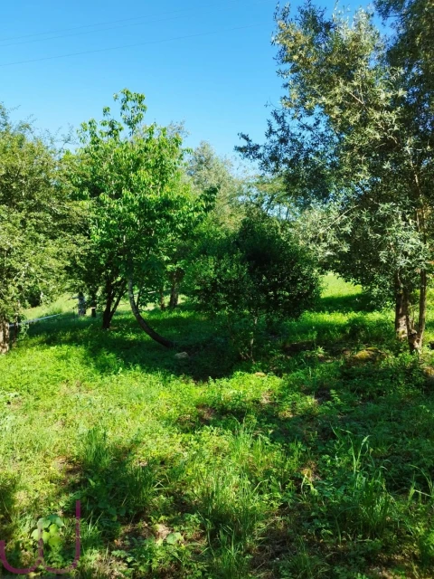 Terreno para Venda em Santa Clara e Castelo Viegas