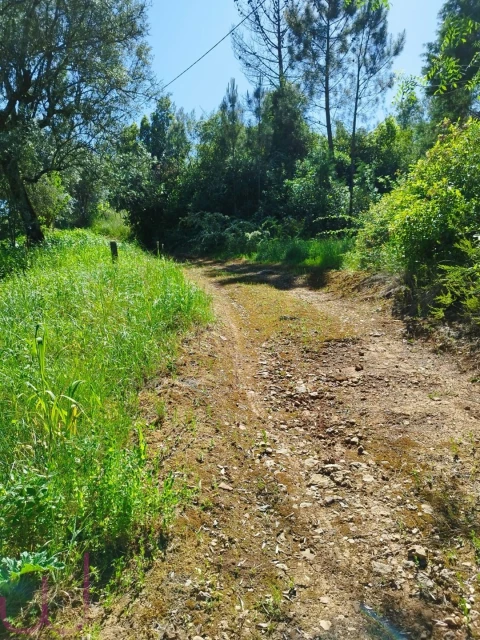 Terreno para Venda em Santa Clara e Castelo Viegas