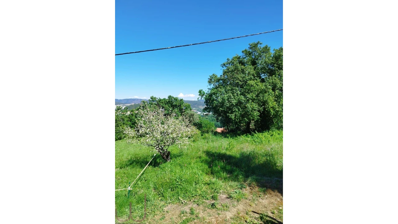 Terreno para Venda em Santa Clara e Castelo Viegas Foto 7