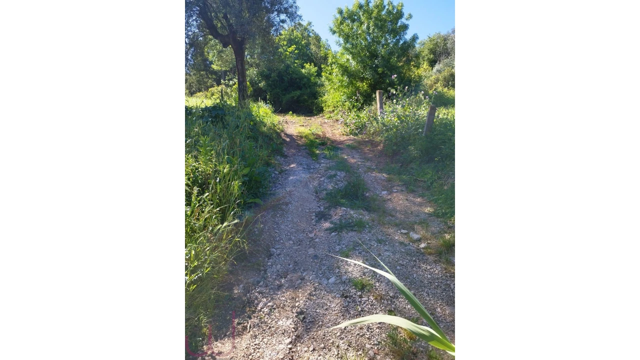Terreno para Venda em Santa Clara e Castelo Viegas Foto 9