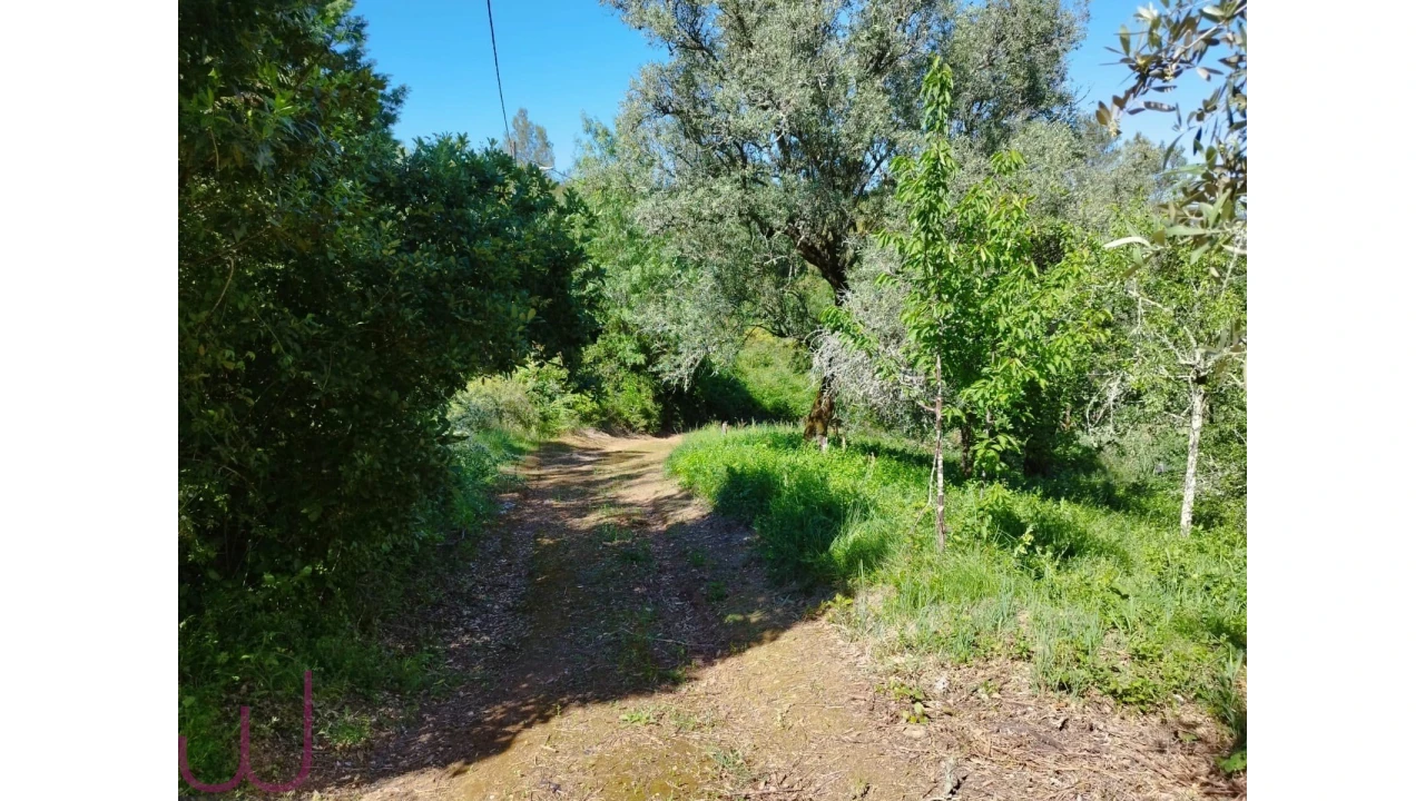 Terreno para Venda em Santa Clara e Castelo Viegas Foto 11