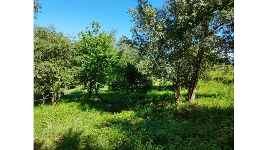 Terreno para Venda em Santa Clara e Castelo Viegas Foto 2