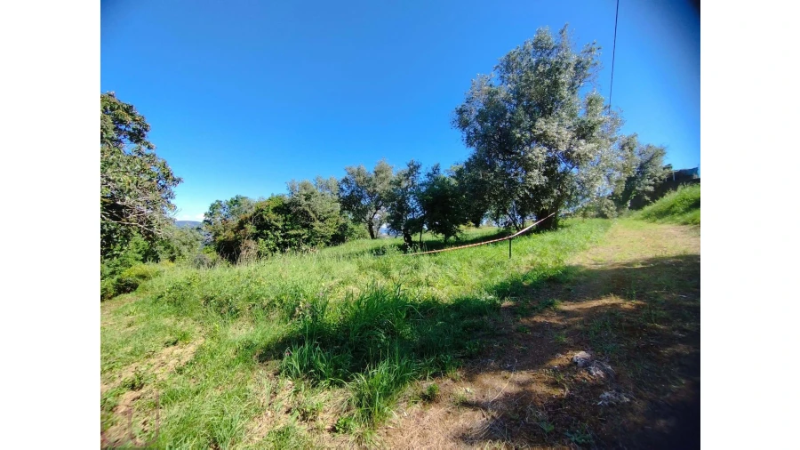 Terreno para Venda em Santa Clara e Castelo Viegas Foto 13