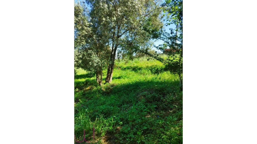 Terreno para Venda em Santa Clara e Castelo Viegas Foto 14