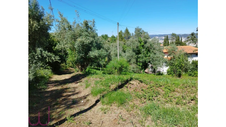 Terreno para Venda em Santa Clara e Castelo Viegas Foto 3