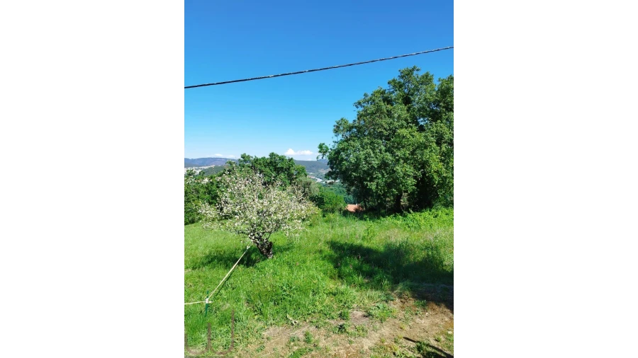 Terreno para Venda em Santa Clara e Castelo Viegas Foto 7