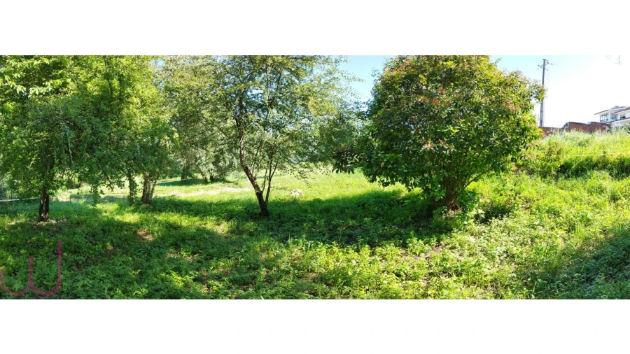 Terreno para Venda em Santa Clara e Castelo Viegas Foto 16