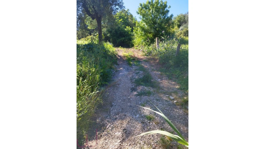 Terreno para Venda em Santa Clara e Castelo Viegas Foto 9