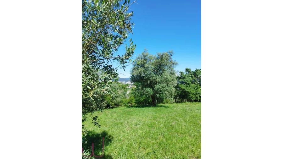 Terreno para Venda em Santa Clara e Castelo Viegas Foto 6