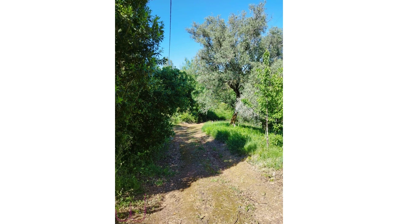 Terreno para Venda em Santa Clara e Castelo Viegas Foto 12