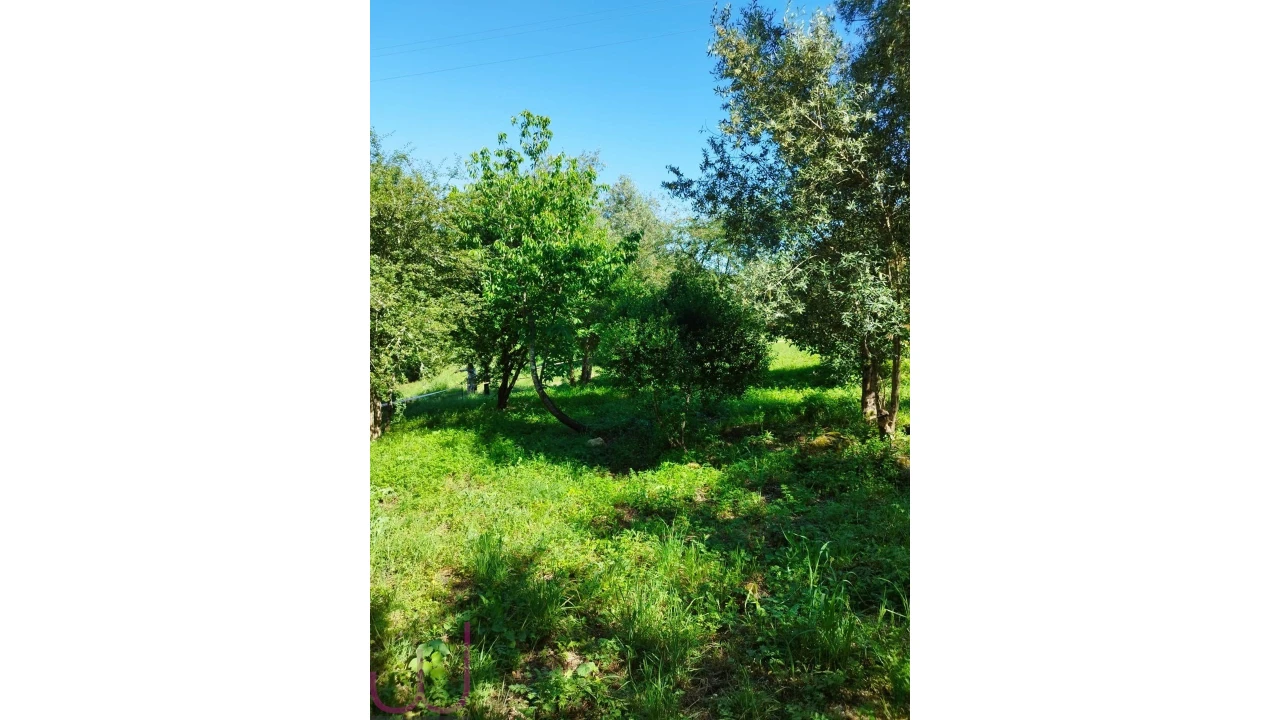 Terreno para Venda em Santa Clara e Castelo Viegas Foto 15