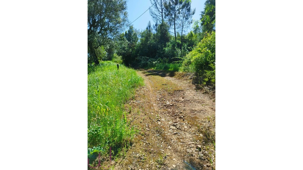 Terreno para Venda em Santa Clara e Castelo Viegas Foto 8