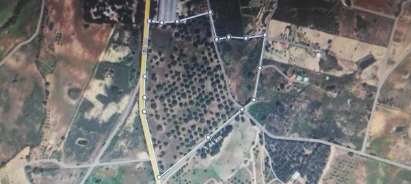 Quinta T3 para Venda em Castelo Branco