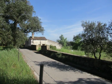 Quinta T3 para Venda em Castelo Branco