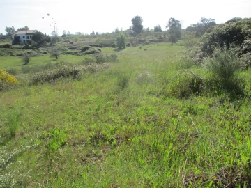 Quinta T3 para Venda em Castelo Branco