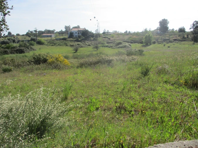 Quinta T3 para Venda em Castelo Branco Foto 11