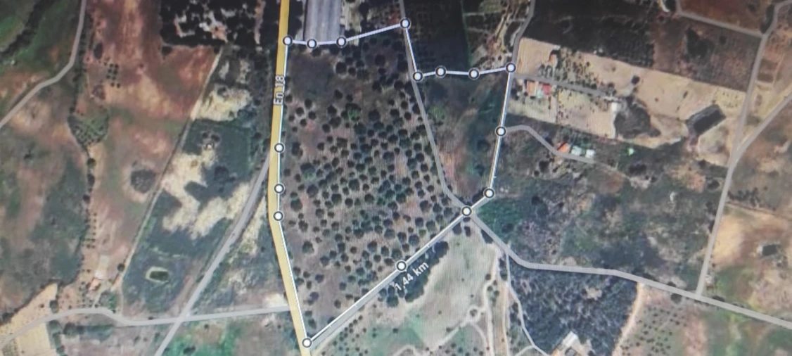 Quinta T3 para Venda em Castelo Branco Foto 3