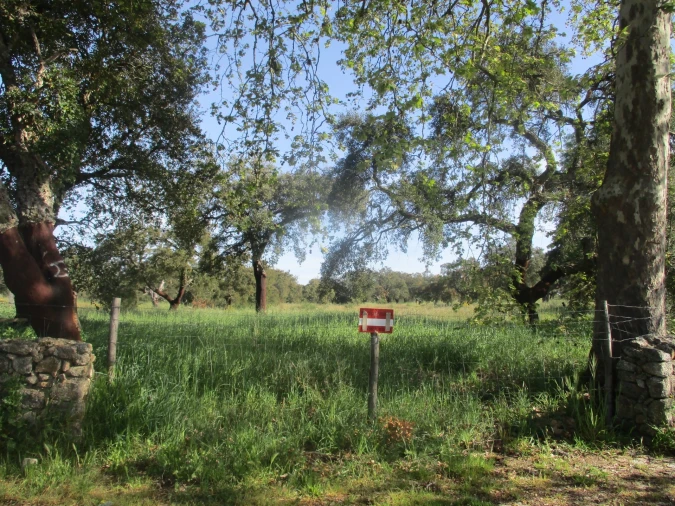 Quinta T3 para Venda em Castelo Branco Foto 9