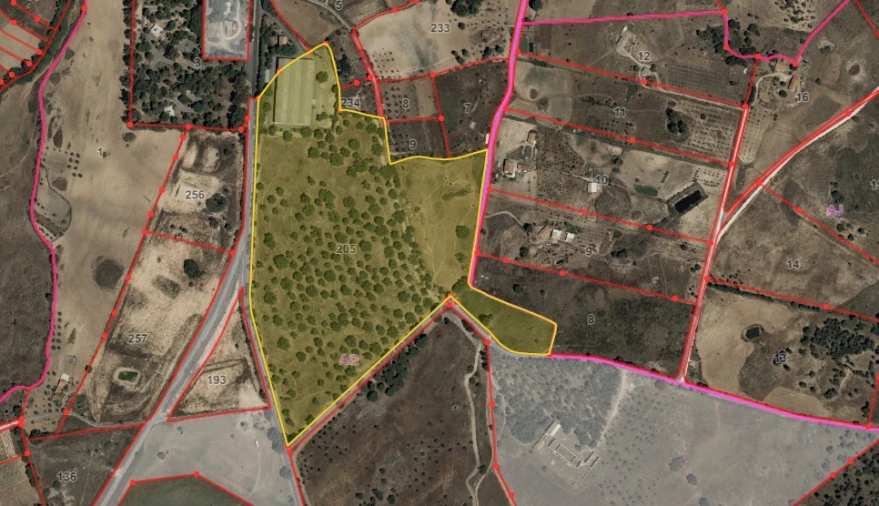 Quinta T3 para Venda em Castelo Branco Planta 1