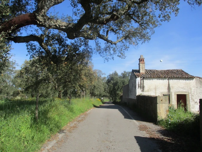 Quinta T3 para Venda em Castelo Branco