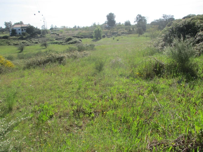 Quinta T3 para Venda em Castelo Branco Foto 13