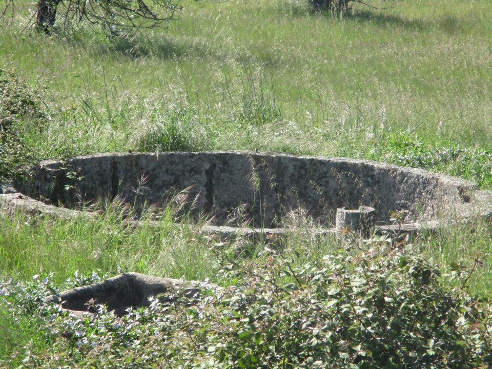 Quinta T3 para Venda em Castelo Branco Foto 14