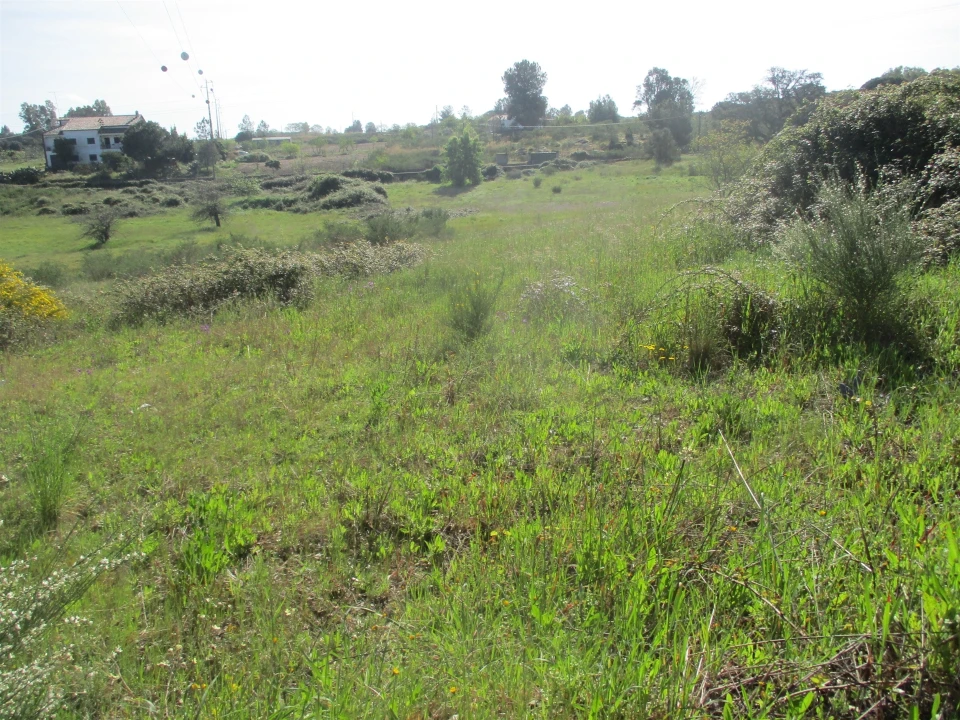 Quinta T3 para Venda em Castelo Branco Foto 13