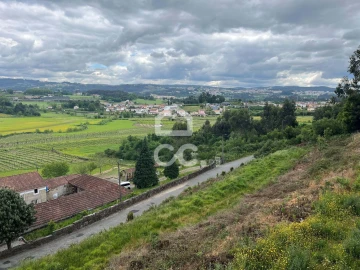 Terreno para Venda em Paredes