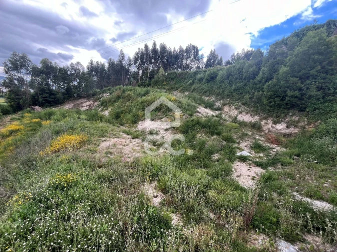 Terreno para Venda em Paredes Foto 11