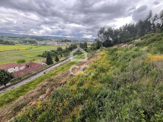 Terreno para Venda em Paredes Foto 8