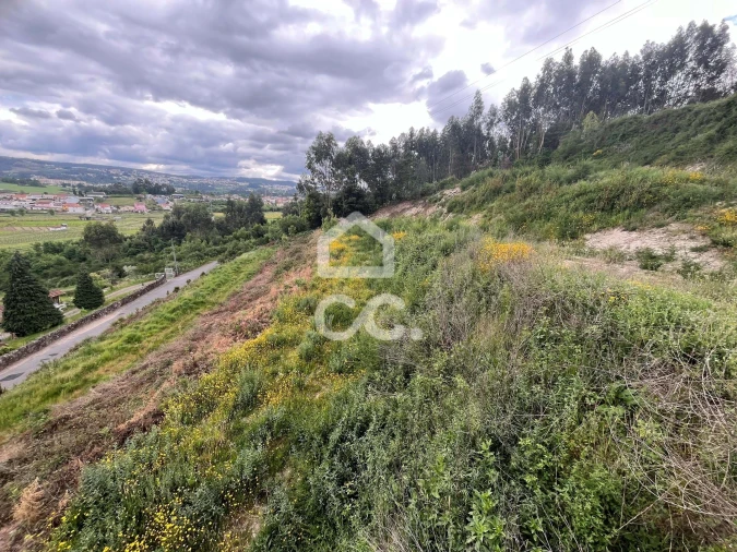Terreno para Venda em Paredes Foto 9