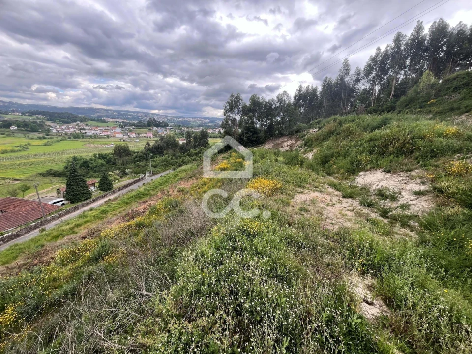 Terreno para Venda em Paredes Foto 12