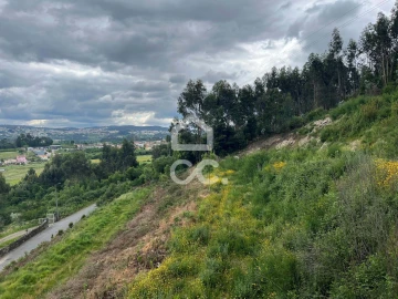 Terreno para Venda em Paredes