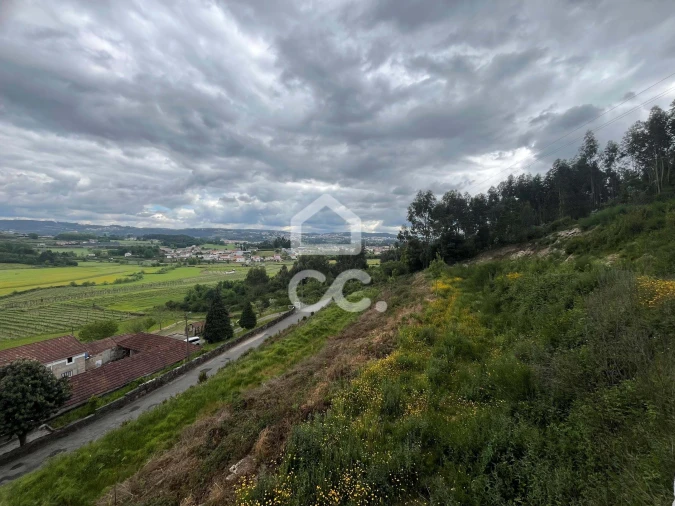 Terreno para Venda em Paredes Foto 3