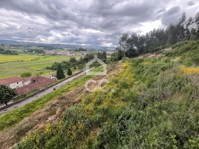 Terreno para Venda em Paredes Foto 7